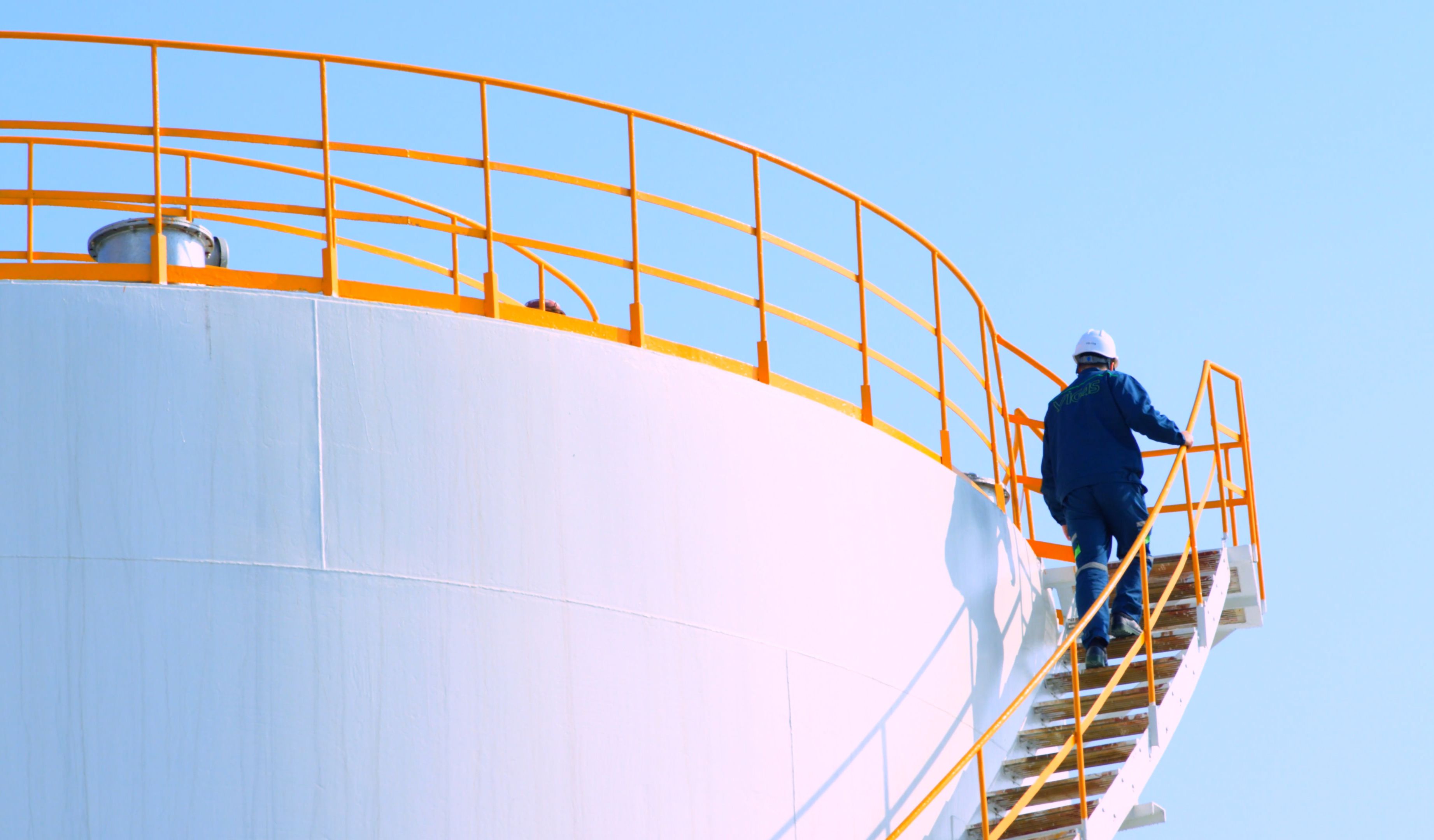 BB��������ɭ�ٷ���վ���峧��