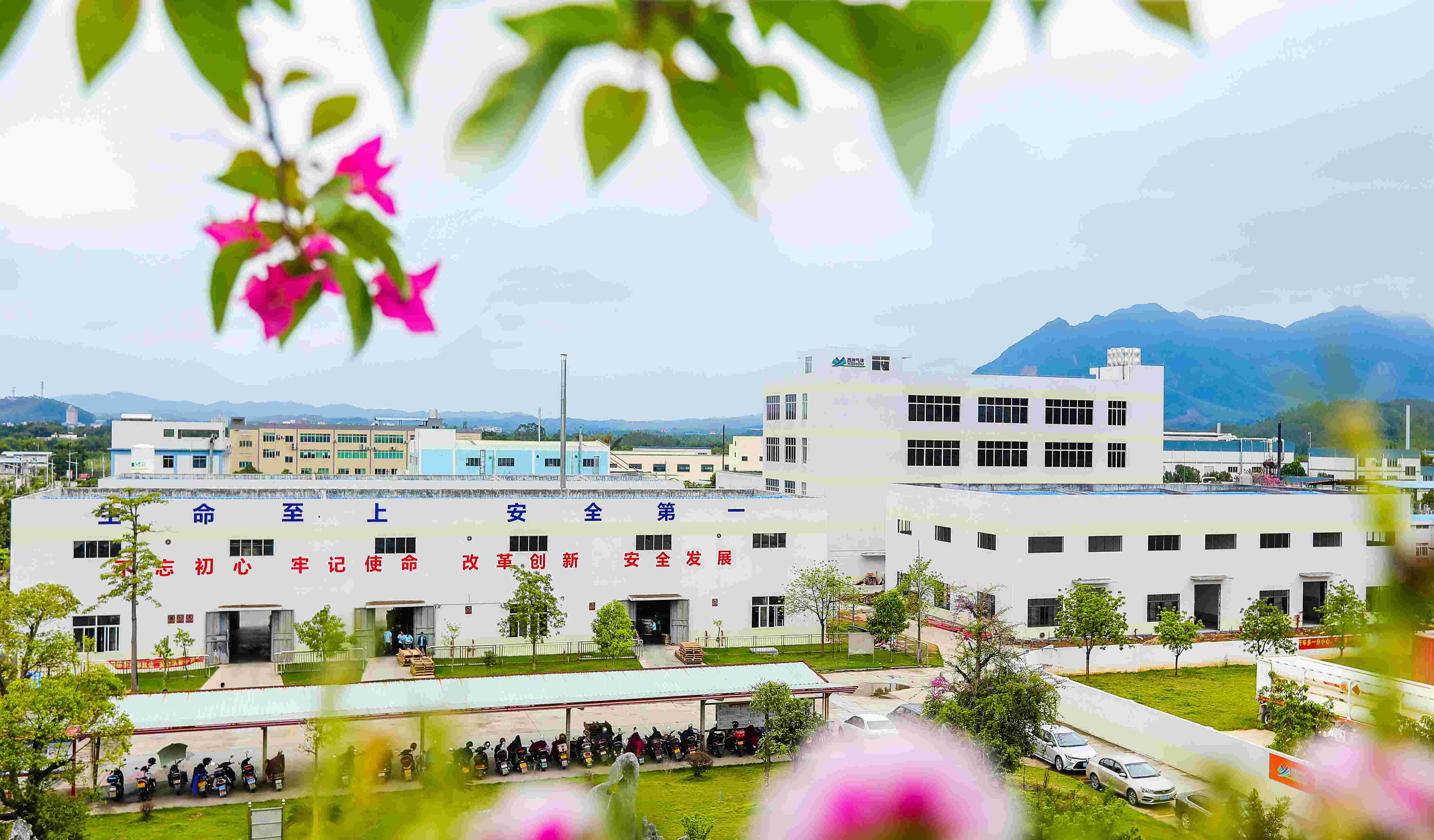 BB��������ɭ�ٷ���վ���峧��