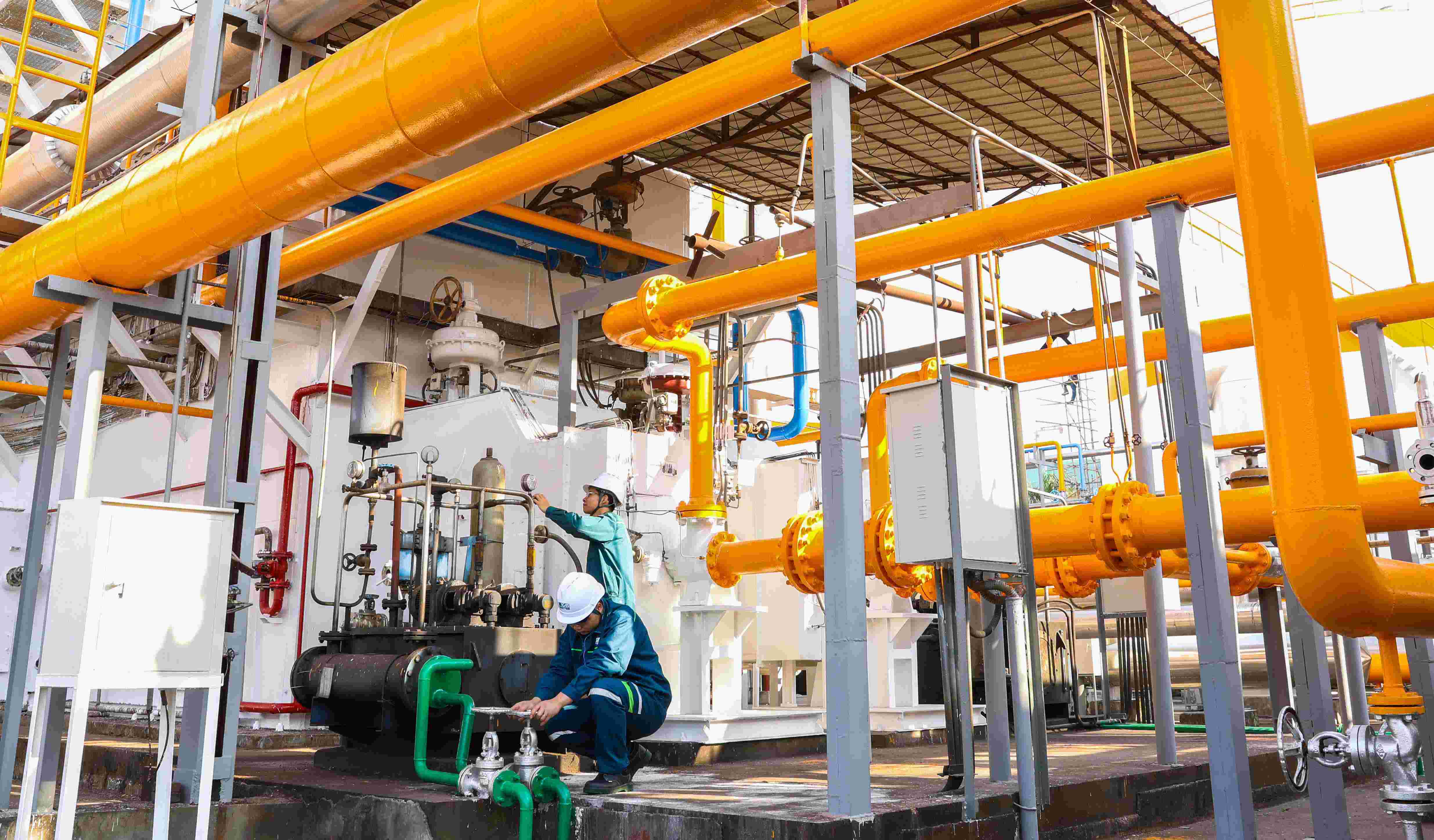 BB��������ɭ�ٷ���վ���峧��